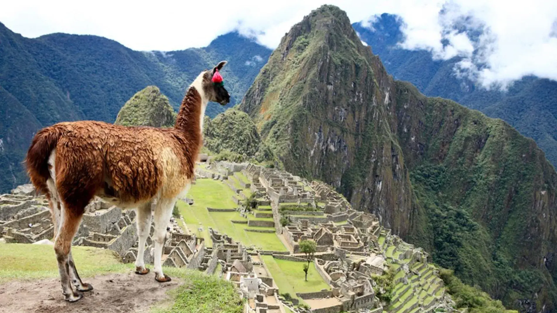 tu agencia de viajes, turismo, pasadias, transporte en ibagué, colombia