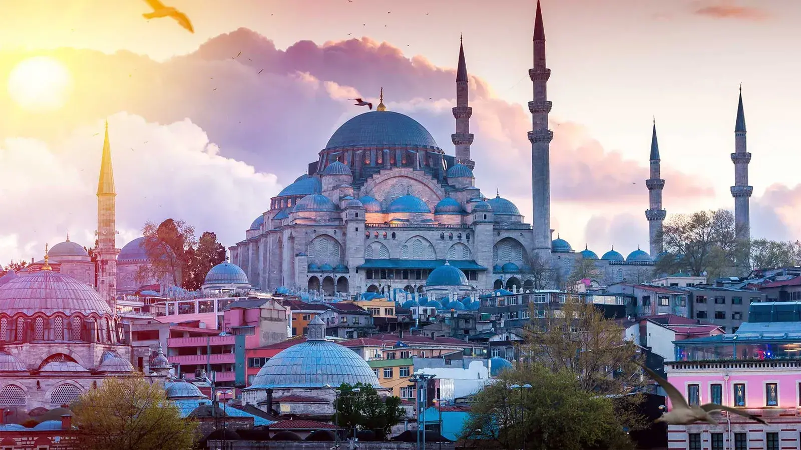 tu agencia de viajes ibagué
